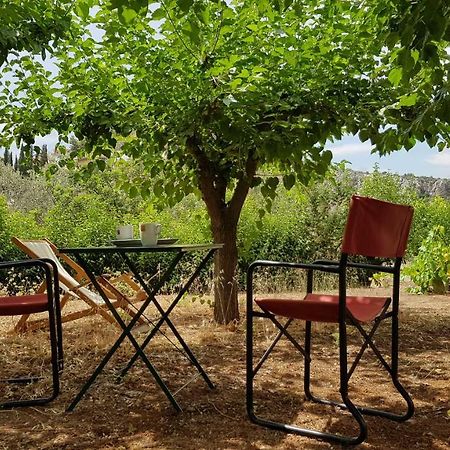 Ample Modern Country Home Nea Epidavros Extérieur photo