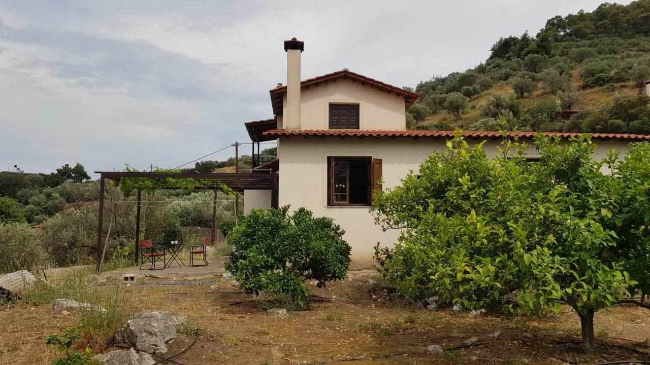 Ample Modern Country Home Nea Epidavros Extérieur photo