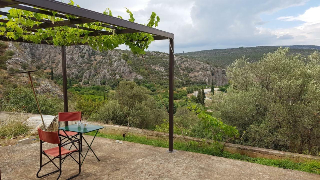 Ample Modern Country Home Nea Epidavros Extérieur photo