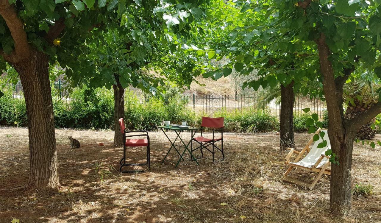 Ample Modern Country Home Nea Epidavros Extérieur photo