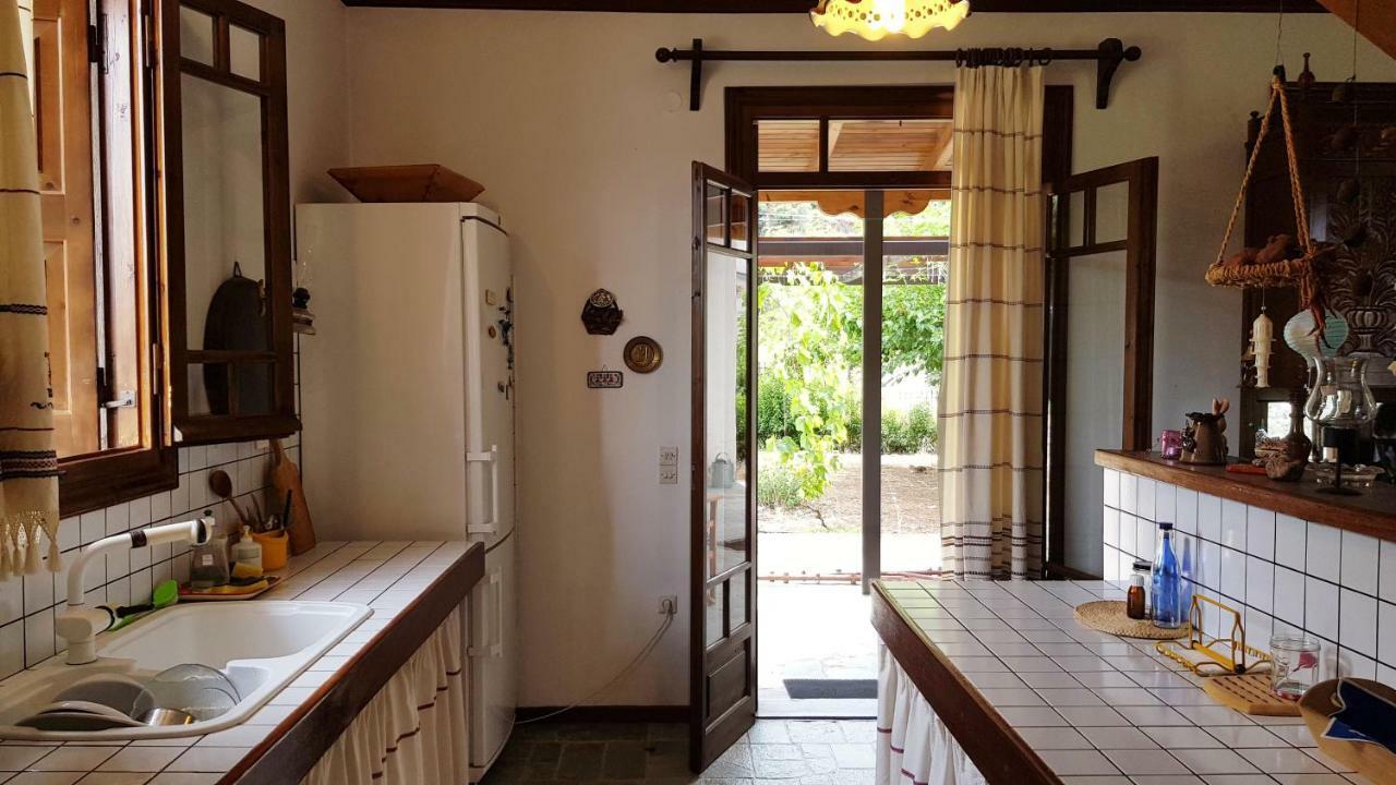 Ample Modern Country Home Nea Epidavros Extérieur photo